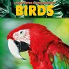 Birds cover
