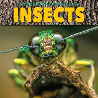 Insects cover