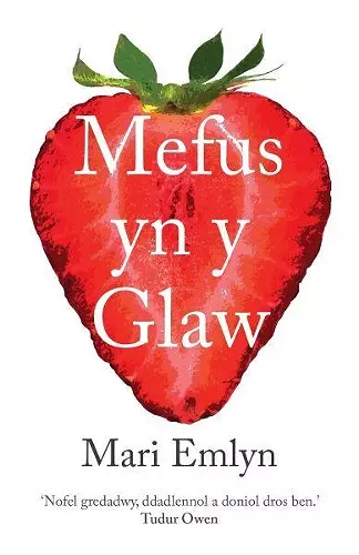 Mefus yn y Glaw cover