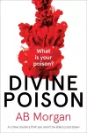 Divine Poison cover