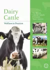 Dairy Cattle Welfare in Practice cover