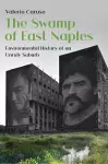 The Swamp of East Naples cover