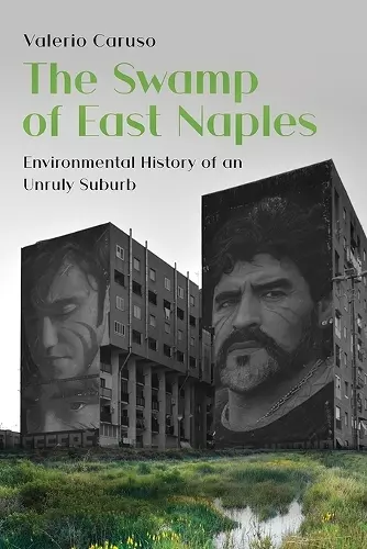 The Swamp of East Naples cover