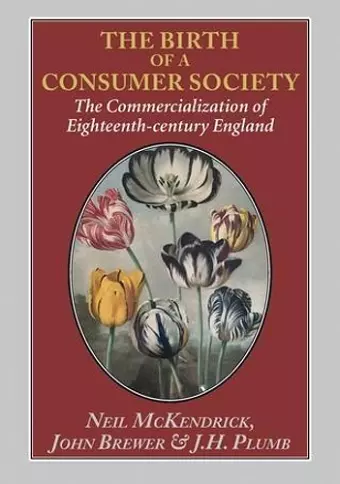 The Birth of a Consumer Society cover