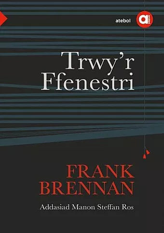 Cyfres Amdani: Trwy'r Ffenestri cover