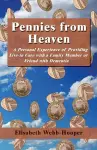 Pennies from Heaven cover