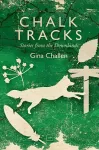 Chalk Tracks cover