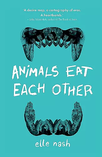 Animals Eat Each Other cover