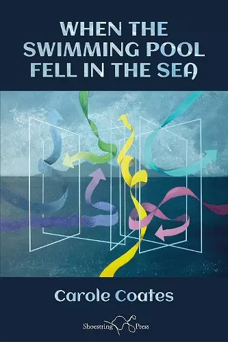 When The Swimming Pool Fell In The Sea cover