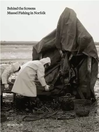 Behind The Screens cover