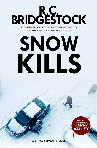 Snow Kills cover