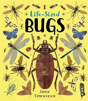 Life-Sized Bugs cover