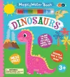 Magic Water Book - Dinosaurs cover