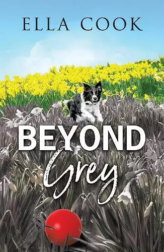 Beyond Grey cover