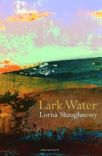 Lark Water cover