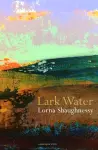 Lark Water cover