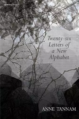 Twenty-six Letters of a New Alphabet cover