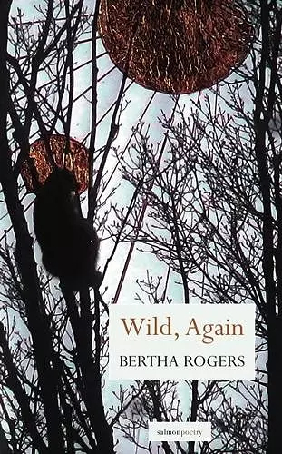 Wild, Again cover