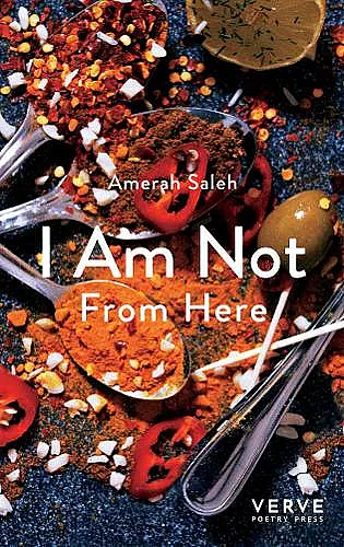 I Am Not From Here cover