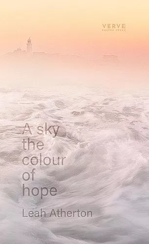 A sky the colour of hope cover