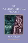 The Psychoanalytical Process cover