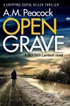 Open Grave cover