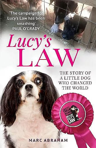 Lucy's Law cover