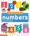 My First Big Book of Numbers cover