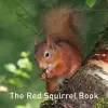 Nature Book Series, The: The Squirrel Book cover