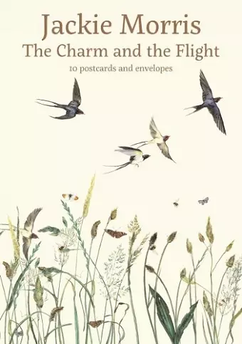 The Charm and the Flight Postcard Pack cover