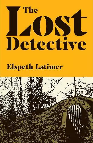 The Lost Detective cover