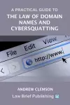 A Practical Guide to the Law of Domain Names and Cybersquatting cover
