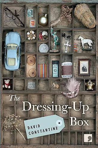 The Dressing-Up Box cover