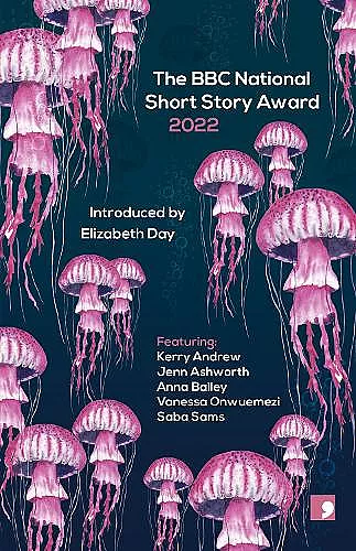 The BBC National Short Story Award 2022 cover