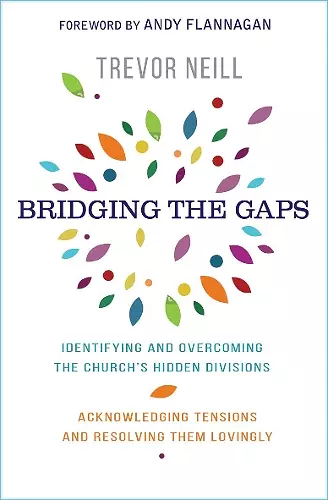 Bridging the Gaps cover