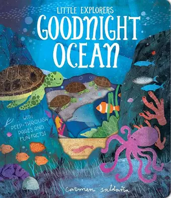 Goodnight Ocean cover