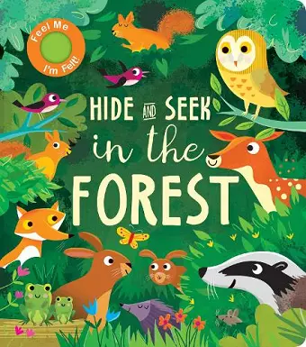 Hide and Seek In the Forest cover