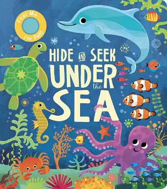 Hide and Seek Under the Sea cover