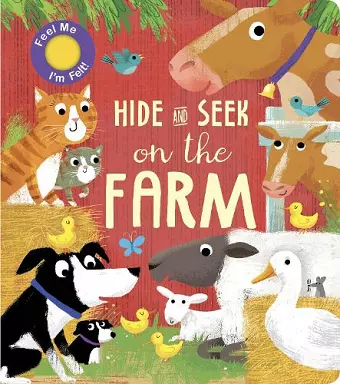 Hide and Seek On the Farm cover