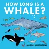 How Long is a Whale? cover