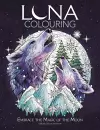 Luna Colouring cover