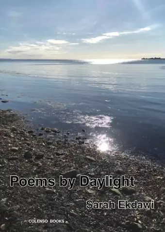 Poems by Daylight cover
