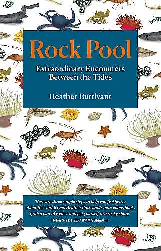 Rock Pool cover
