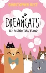 Dreamcats II cover