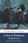 A Ray Of Darkness cover