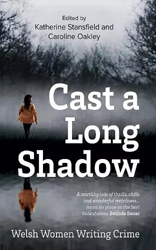 Cast a Long Shadow cover