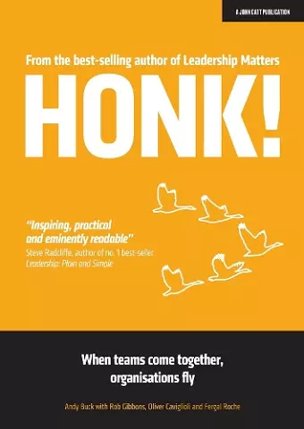 HONK cover