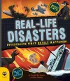 Real-life Disasters cover