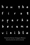 how the first sparks became visible cover