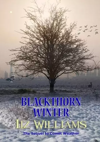 Blackthorn Winter cover